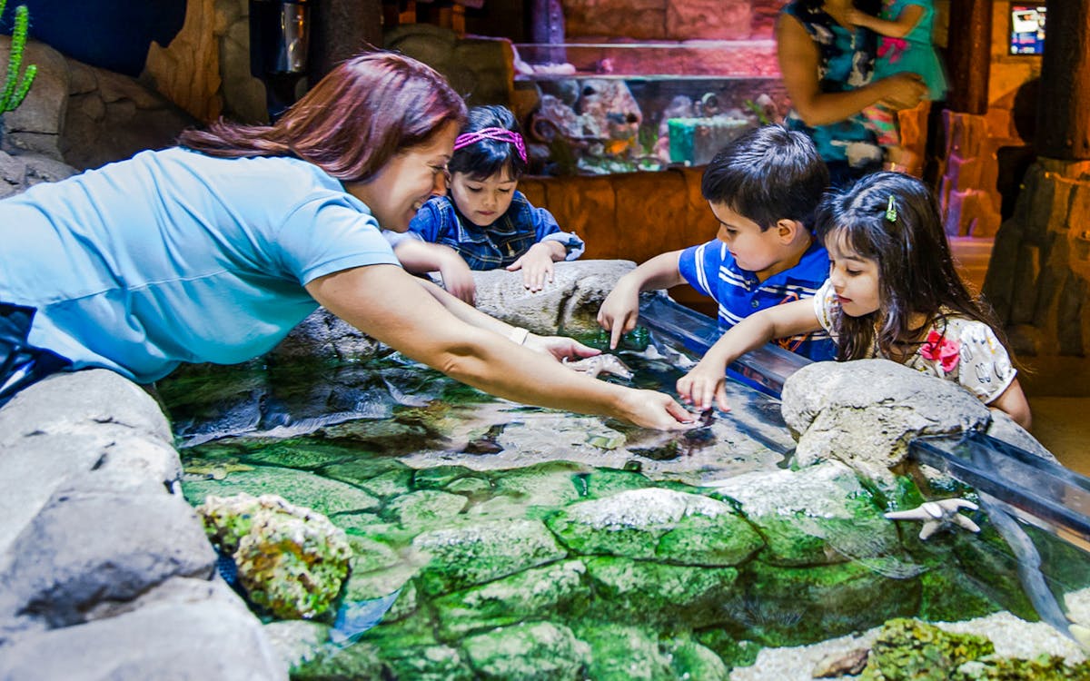 sea life 1-day pass in legoland® malaysia-14 sea life 1-day pass in legoland® malaysia-14