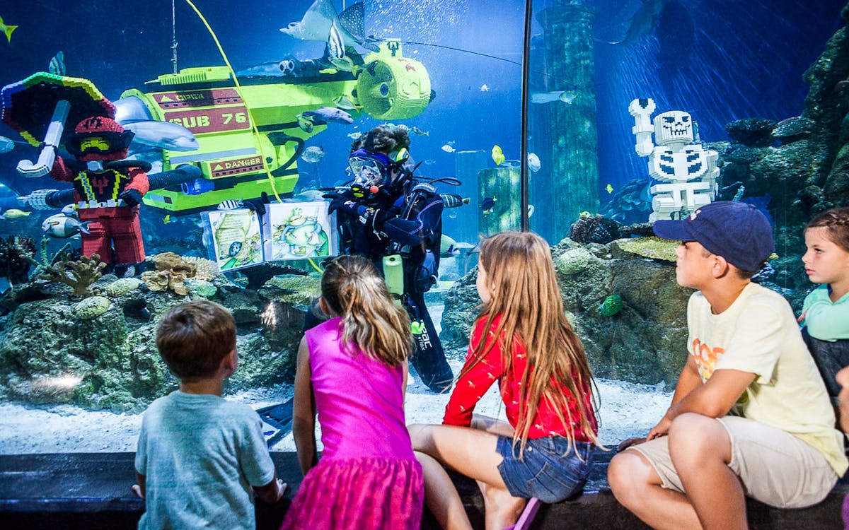 sea life 1-day pass in legoland® malaysia-6 sea life 1-day pass in legoland® malaysia-6