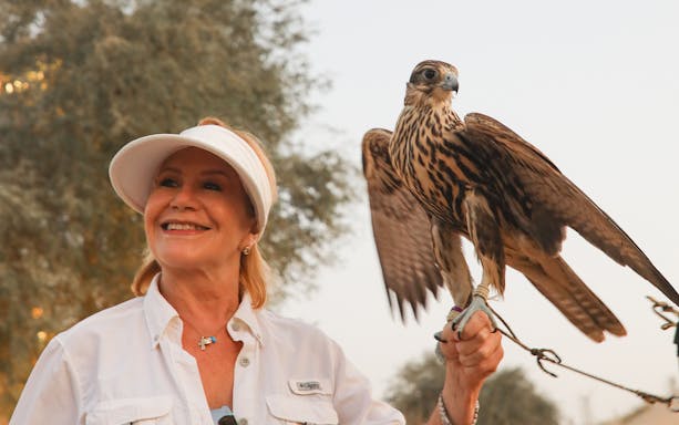Falcon perched on a person's hand during Morning Heritage Safari at Al Marmoom Oasis.