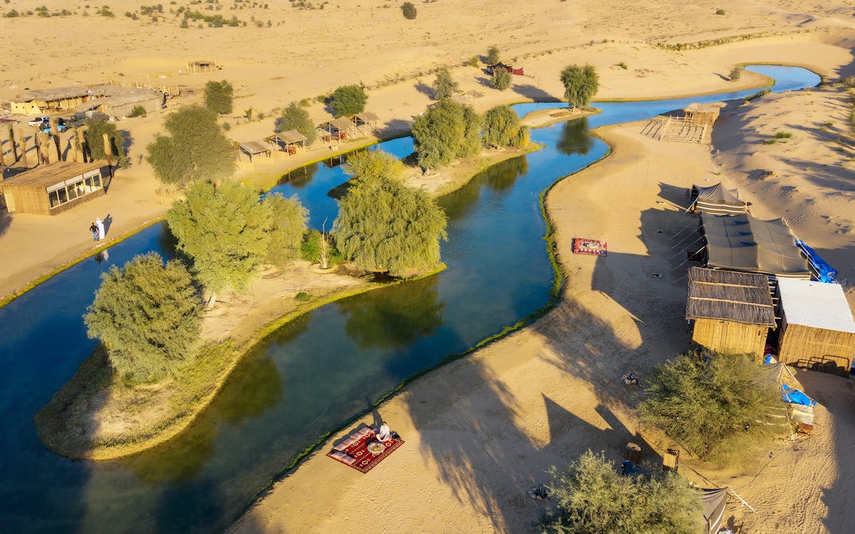 morning heritage safari of al marmoom oasis by vintage mercedes-20 morning heritage safari of al marmoom oasis by vintage mercedes-20