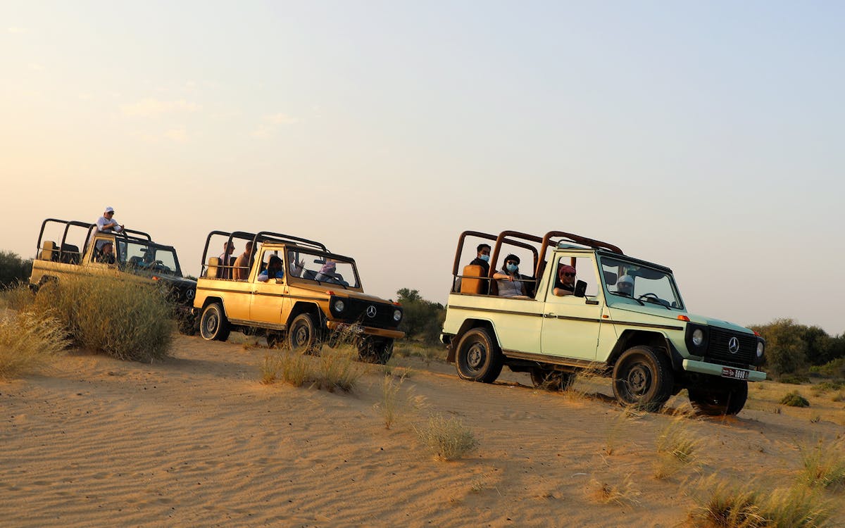 morning heritage safari of al marmoom oasis by vintage mercedes-18 morning heritage safari of al marmoom oasis by vintage mercedes-18