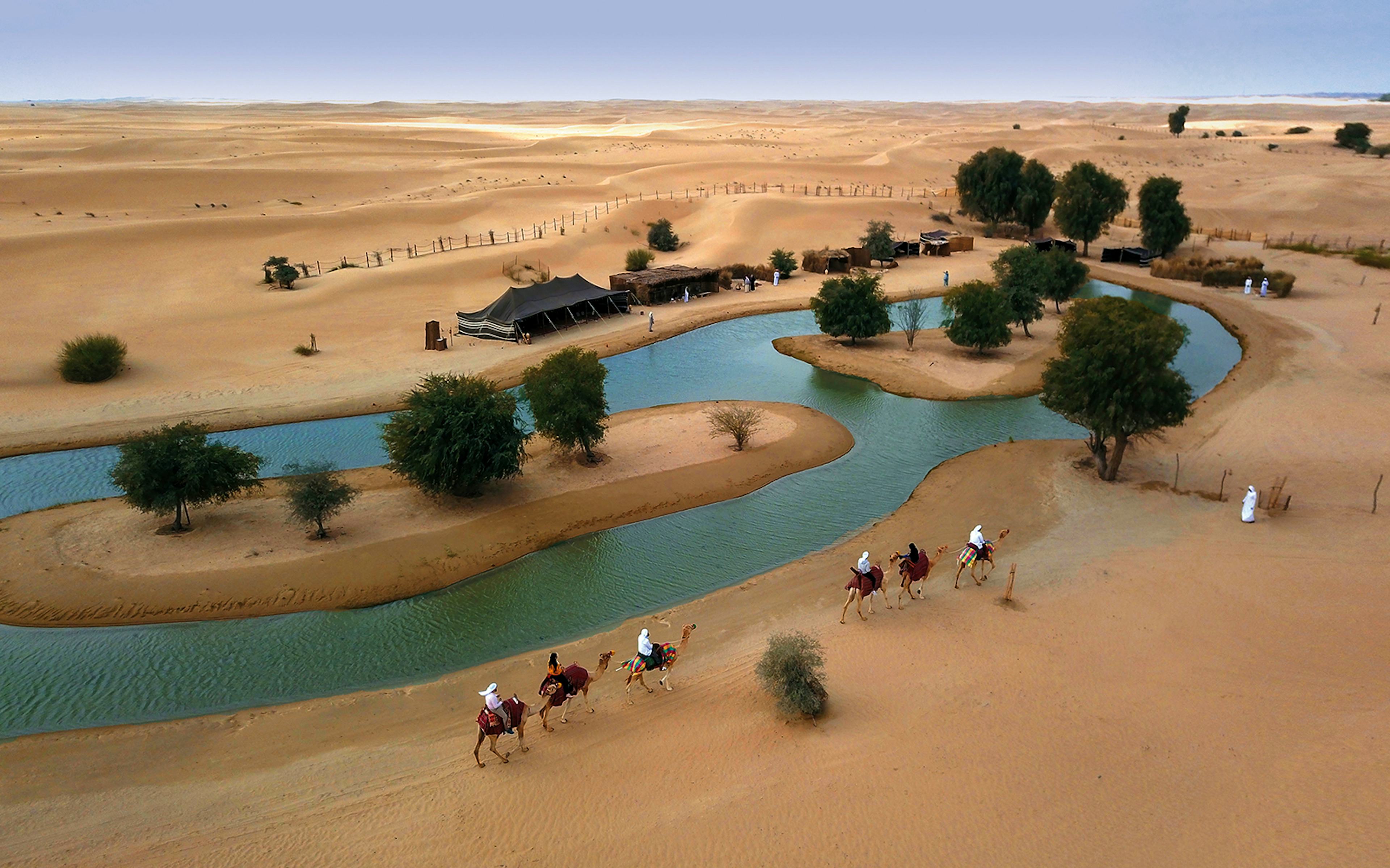 Camel riders traverse Al Marmoom Oasis during Morning Heritage Safari.