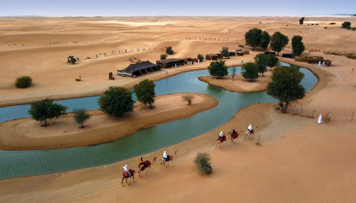 Camel riders traverse Al Marmoom Oasis during Morning Heritage Safari.
