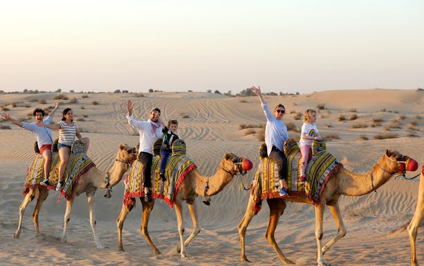 Camel ride at Al Marmoom Oasis during Morning Heritage Safari.