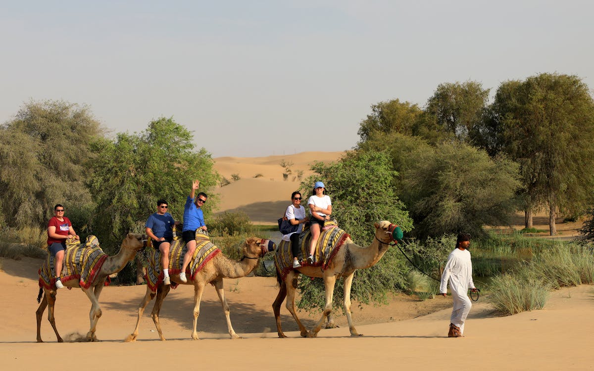 morning heritage safari of al marmoom oasis by vintage mercedes-6 morning heritage safari of al marmoom oasis by vintage mercedes-6