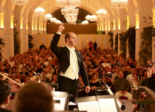 Schönbrunn Palace: Mozart & Strauss Concert, Tour & 3-Course Dinner