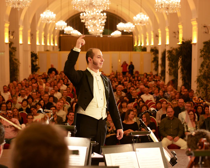 Schönbrunn Palace: Mozart & Strauss Concert with Tour & 3-Course Dinner