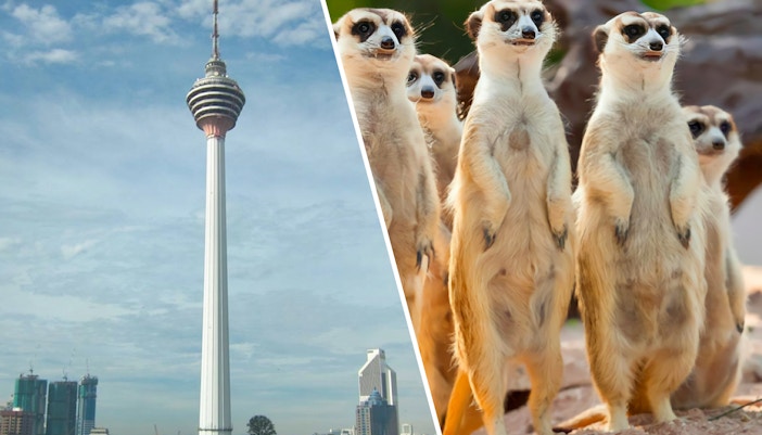 Biglietti combinati per la Torre di Kuala Lumpur