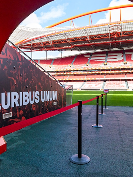 Entrance tunnel to SL Benfica Stadium field during guided tour.