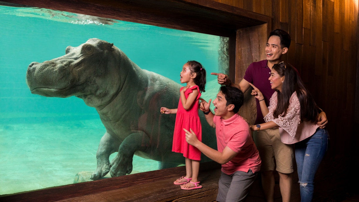 Lost World of Tambun