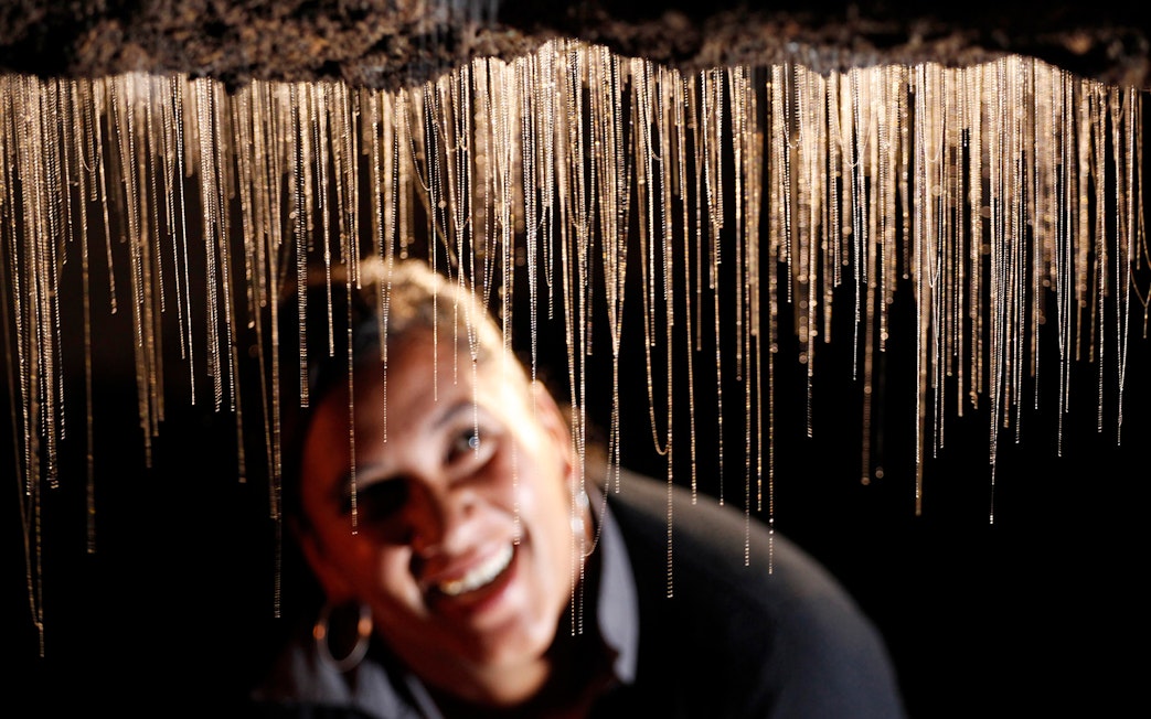 Glowworms hanging in Waitomo Caves during a guided tour.