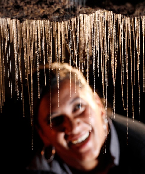 Glowworms hanging in Waitomo Caves during a guided tour.