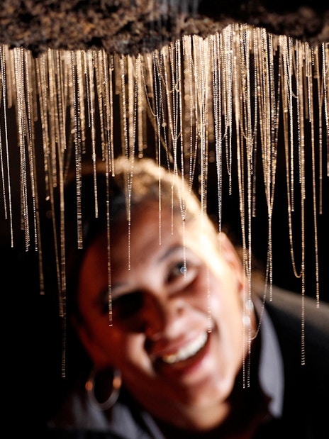 Glowworms hanging in Waitomo Caves during a guided tour.