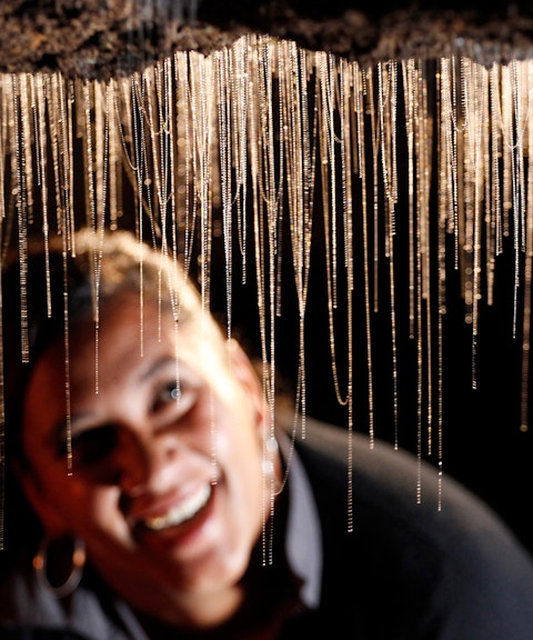 Glowworms hanging in Waitomo Caves during a guided tour.