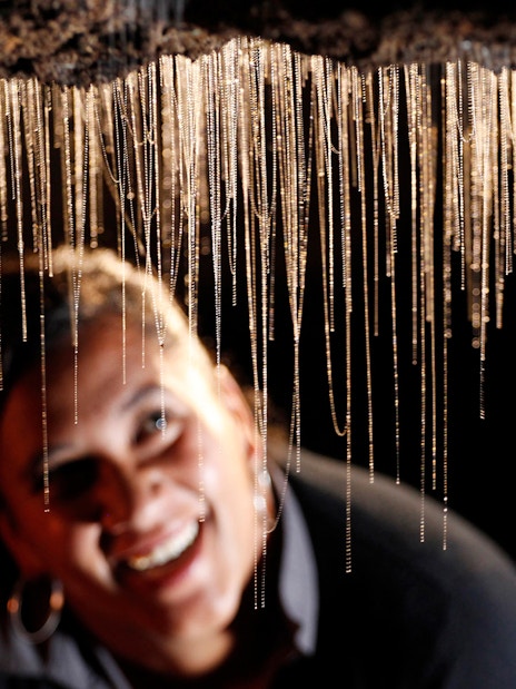 Glowworms hanging in Waitomo Caves during a guided tour.