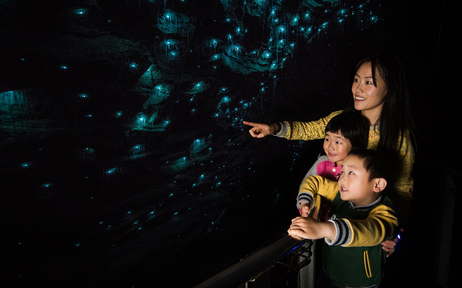 Glowworms at Waitomo Caves