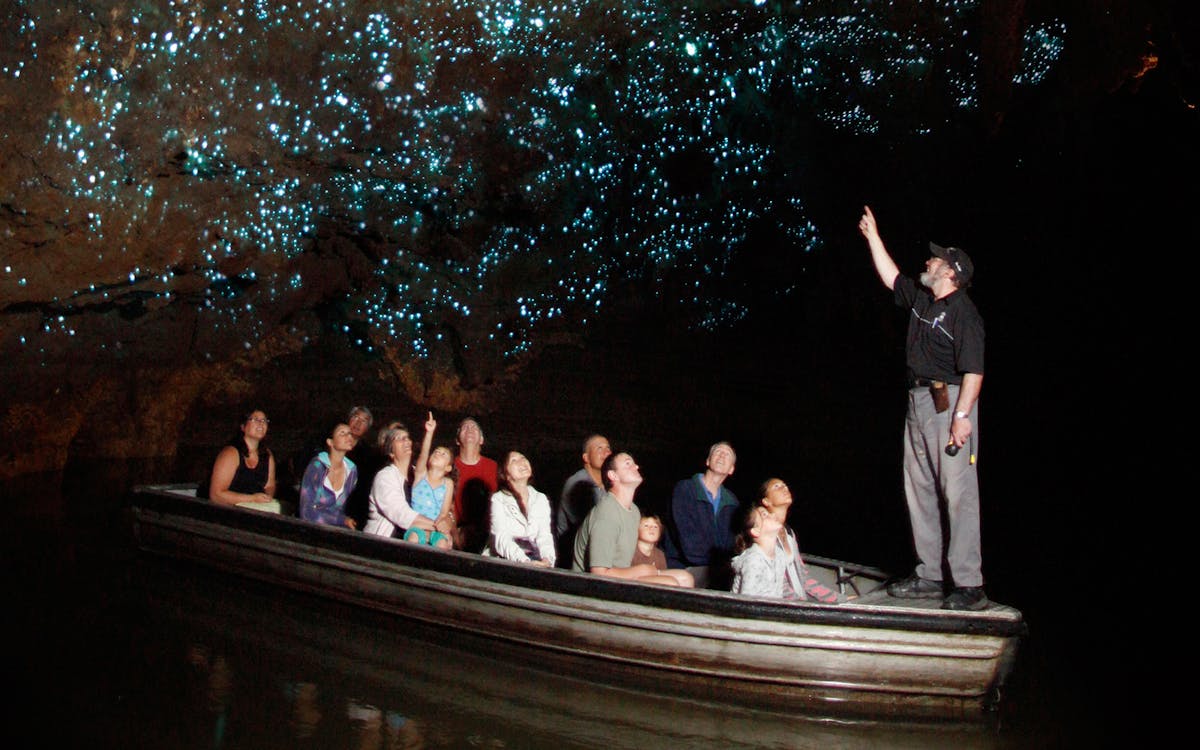 guided tour of waitomo glowworm caves-3 guided tour of waitomo glowworm caves-3