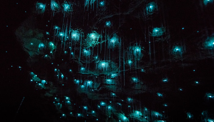 Explore the local caves