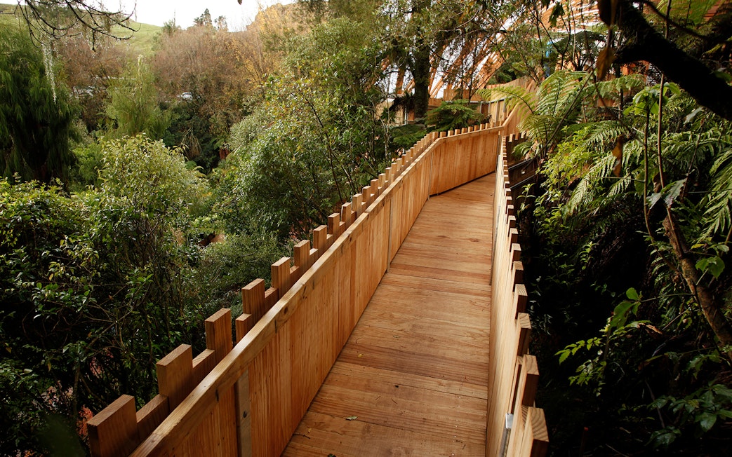 Wooden walkway surrounded by lush greenery on the Guided Tour of Waitomo Glowworm Caves.