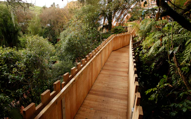 Wooden walkway surrounded by lush greenery on the Guided Tour of Waitomo Glowworm Caves.