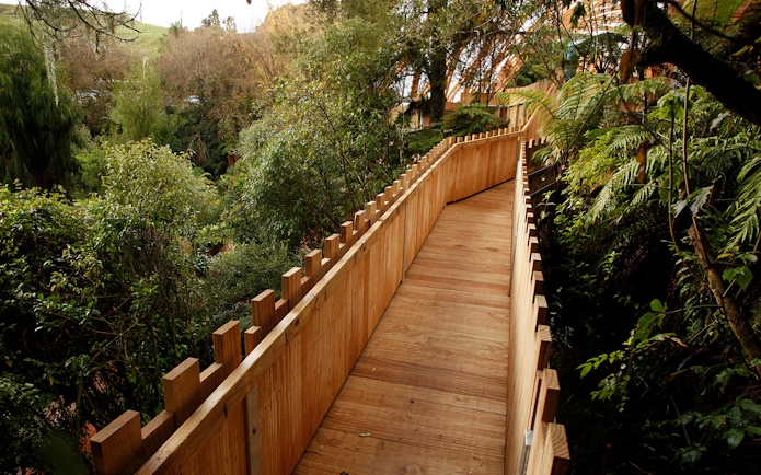 Wooden walkway surrounded by lush greenery on the Guided Tour of Waitomo Glowworm Caves.