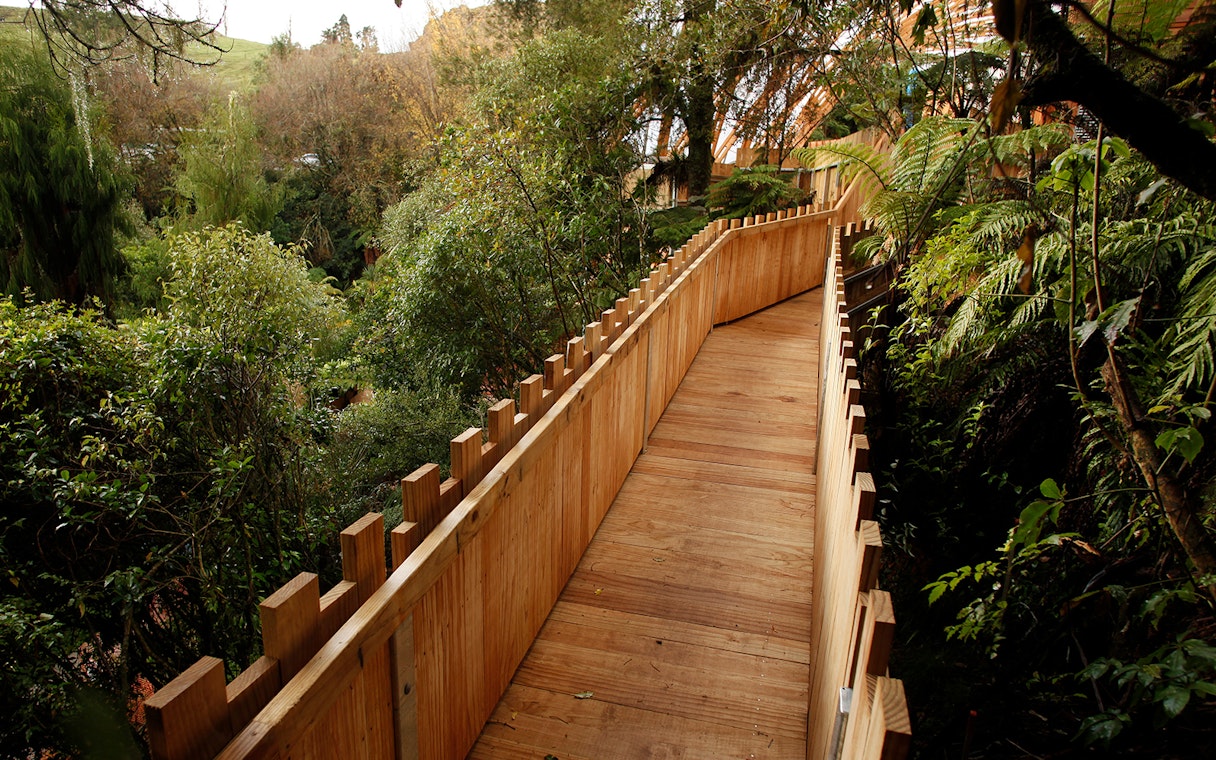 Wooden walkway surrounded by lush greenery on the Guided Tour of Waitomo Glowworm Caves.