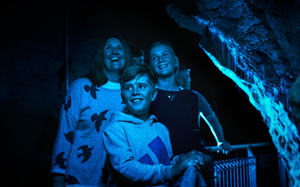 Visitors admiring glowworms in Waitomo Glowworm Caves during guided tour.