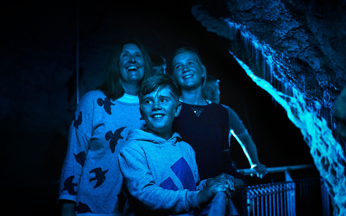 Visitors admiring glowworms in Waitomo Glowworm Caves during guided tour.
