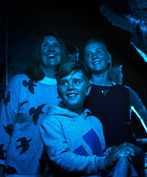 Visitors admiring glowworms in Waitomo Glowworm Caves during guided tour.