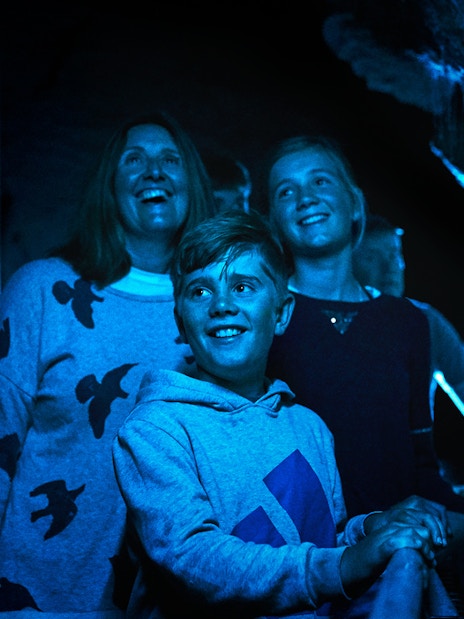 Visitors admiring glowworms in Waitomo Glowworm Caves during guided tour.
