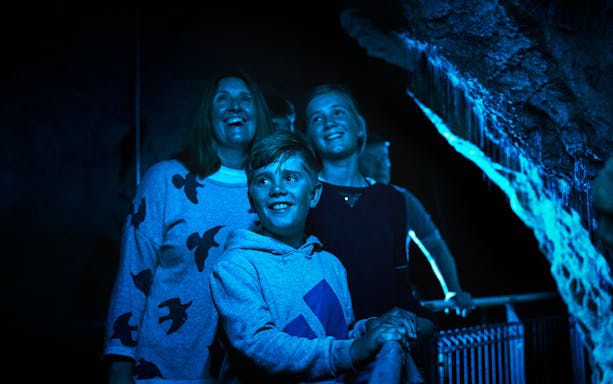 Visitors admiring glowworms in Waitomo Glowworm Caves during guided tour.
