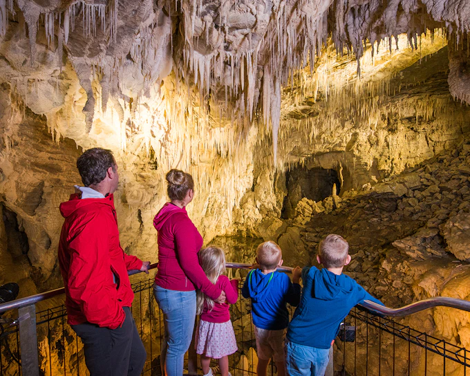 Waitomo Glowworm Caves Guided Tour