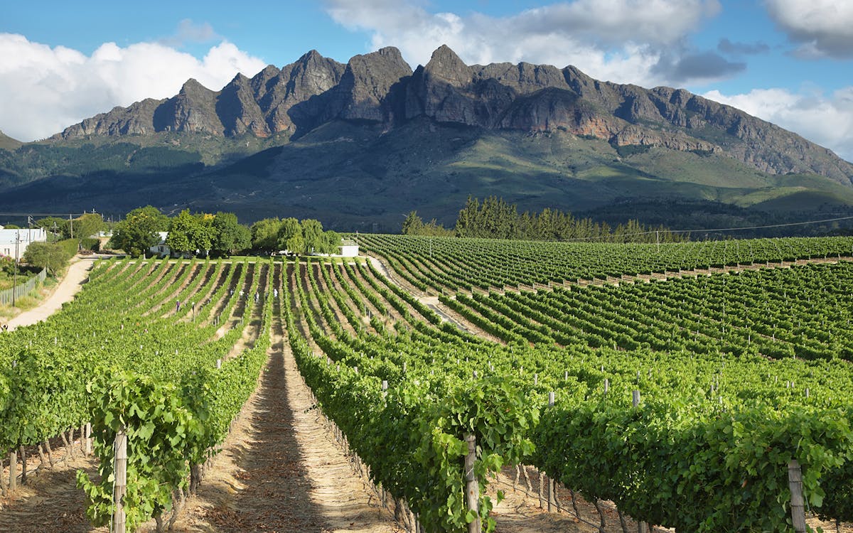 full day wine, seals and cape palliser lighthouse tour from wellington-6 full day wine, seals and cape palliser lighthouse tour from wellington-6