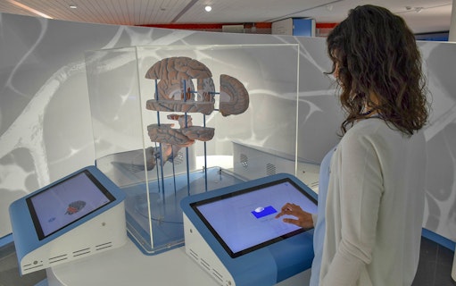 Interactive brain exhibit at Città della Scienza, Naples, with visitor using touchscreen.