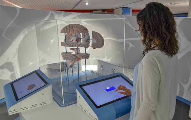 Interactive brain exhibit at Città della Scienza, Naples, with visitor using touchscreen.