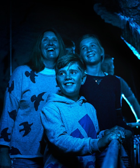 Visitors exploring Ruakuri Cave's illuminated formations during a guided tour in Waitomo.