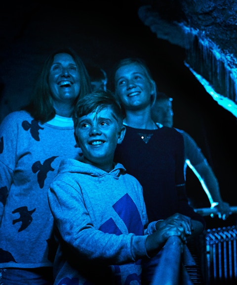 Visitors exploring Ruakuri Cave's illuminated formations during a guided tour in Waitomo.