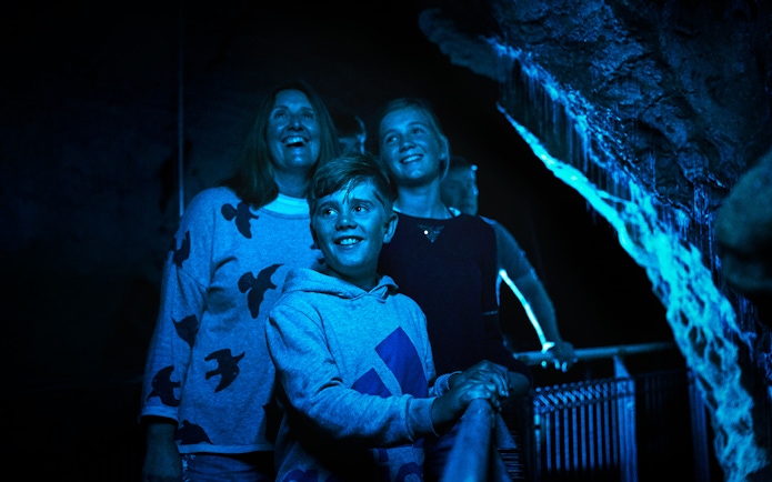 Visitors exploring Ruakuri Cave's illuminated formations during a guided tour in Waitomo.