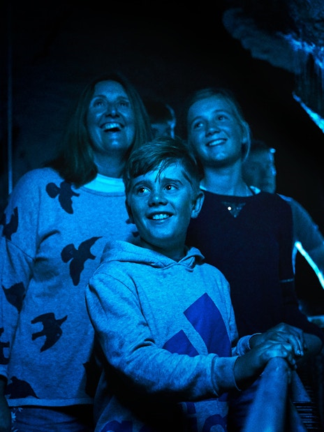 Visitors exploring Ruakuri Cave's illuminated formations during a guided tour in Waitomo.