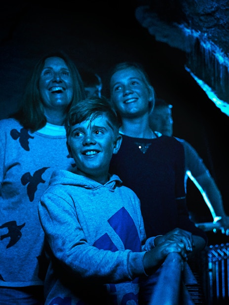 Visitors exploring Ruakuri Cave's illuminated formations during a guided tour in Waitomo.