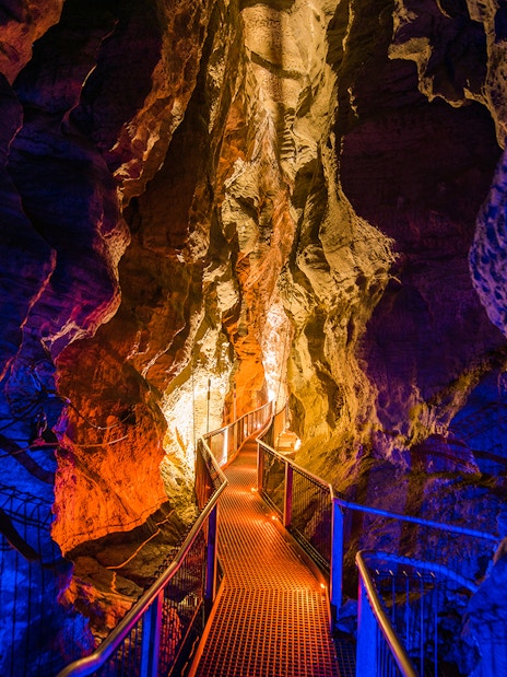 Walkway through illuminated Ruakuri Cave, New Zealand, showcasing rock formations.