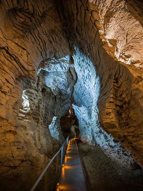 Guided walkway through Ruakuri Cave with illuminated limestone formations.