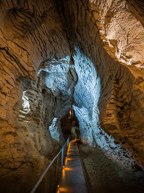 Guided walkway through Ruakuri Cave with illuminated limestone formations.