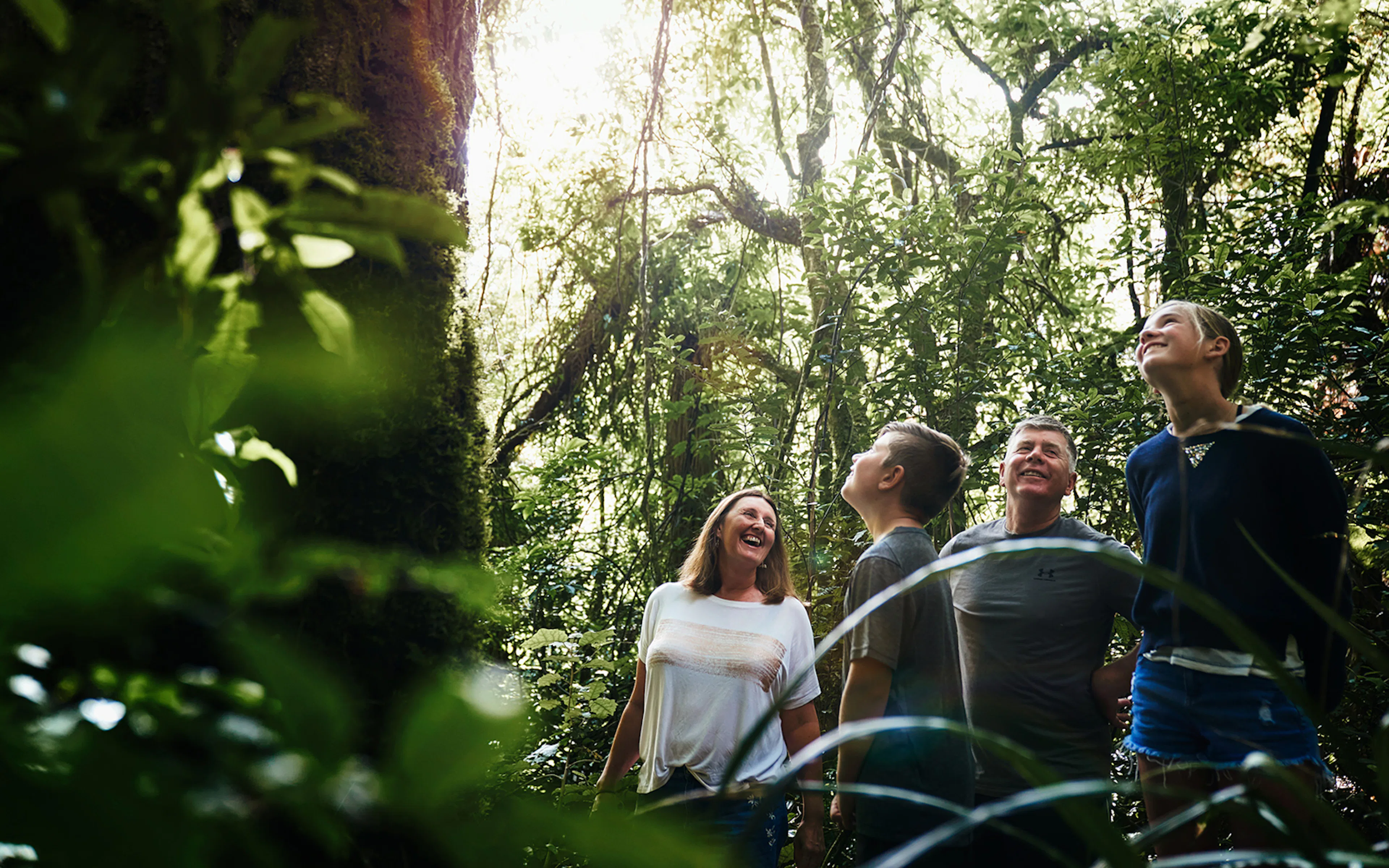 Tourists exploring lush forest near Ruakuri Cave, Waitomo, New Zealand.
