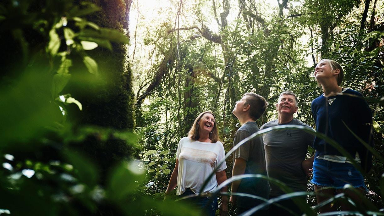 Waitomo Caves essentials