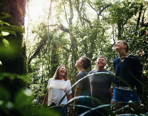 Tourists exploring lush forest near Ruakuri Cave, Waitomo, New Zealand.