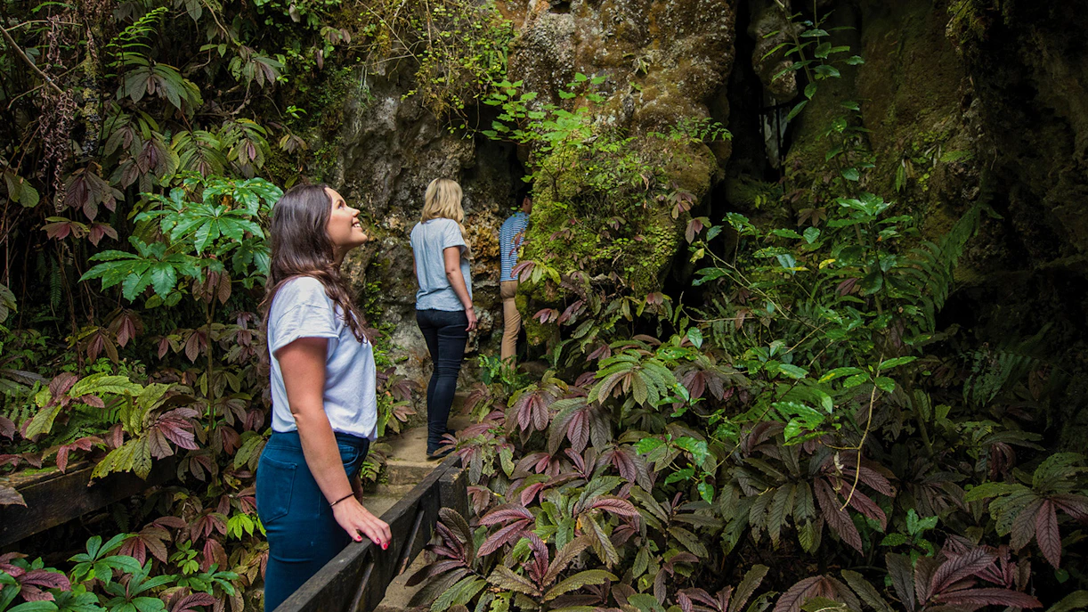 Visitors exploring lush entrance of Aranui Cave, New Zealand.