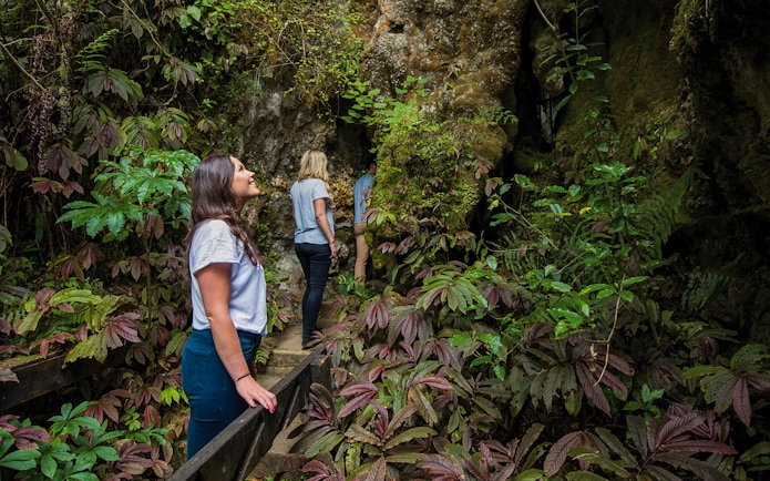 Visitors exploring lush entrance of Aranui Cave, New Zealand.