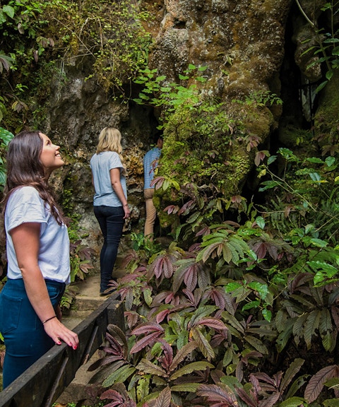 Visitors exploring lush entrance of Aranui Cave, New Zealand.