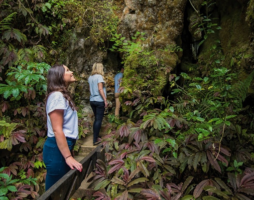 Visitors exploring lush entrance of Aranui Cave, New Zealand.